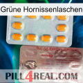 Grüne Hornissenlaschen new13